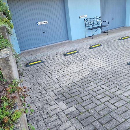 Miu'S Ferienwohnung Alpirsbach Exteriör bild
