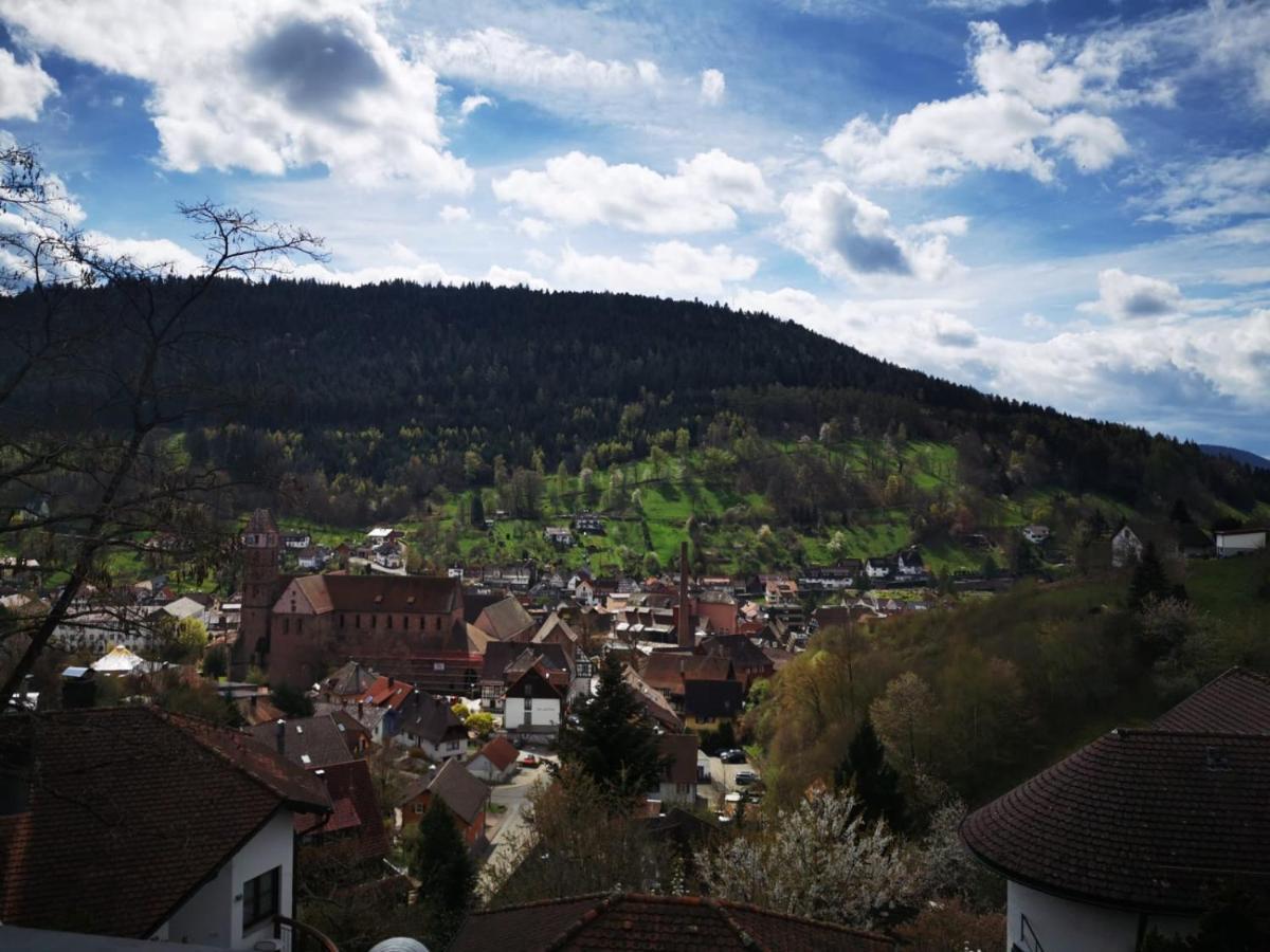 Miu'S Ferienwohnung Alpirsbach Exteriör bild