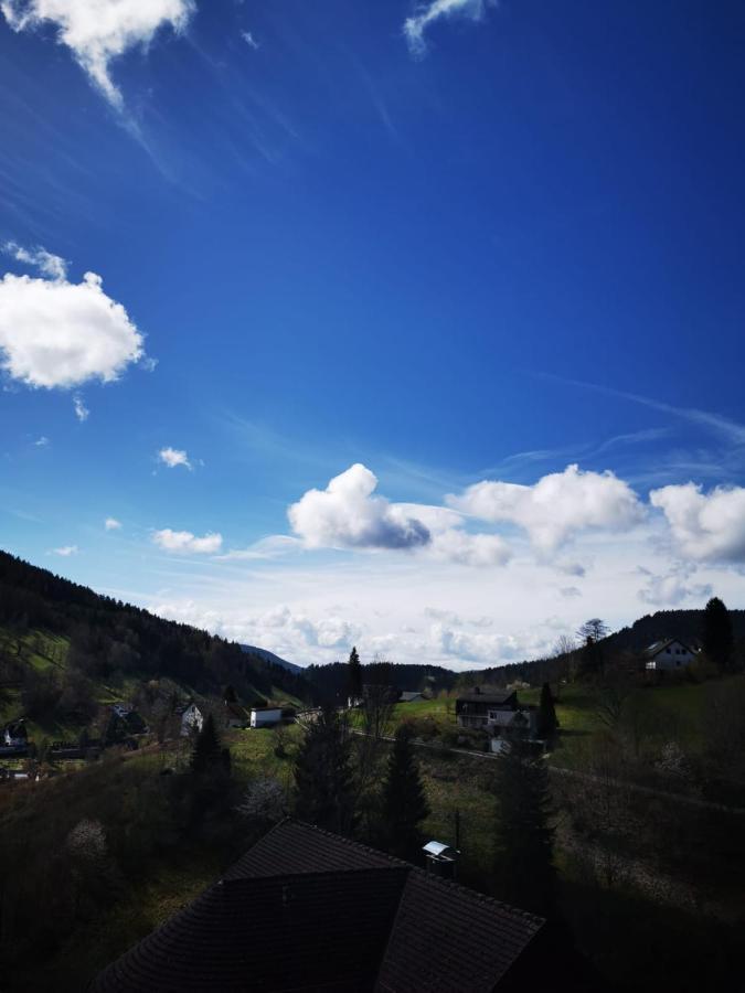 Miu'S Ferienwohnung Alpirsbach Exteriör bild